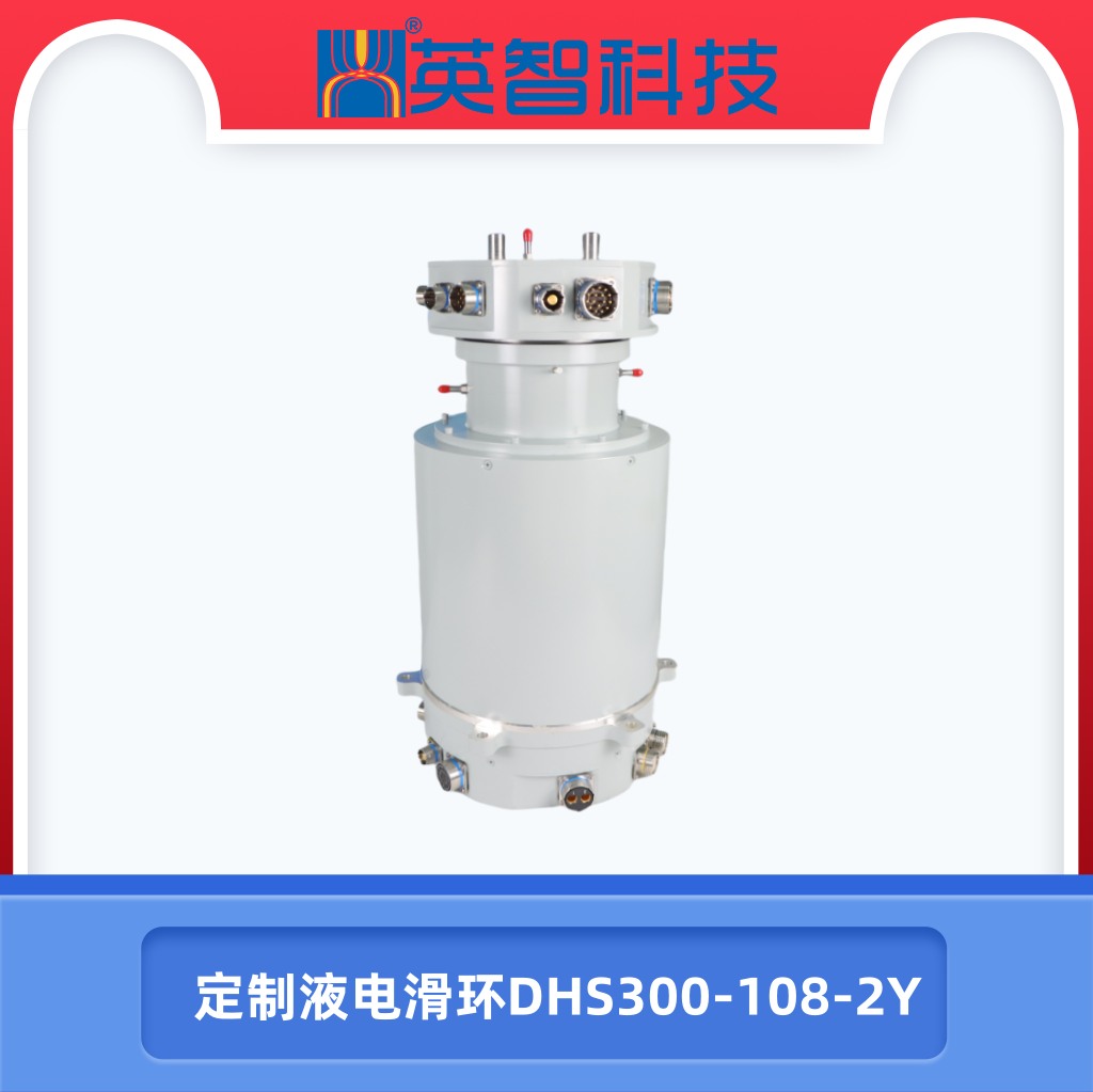 電液榴莲视频黄色DHS300-108-2Y